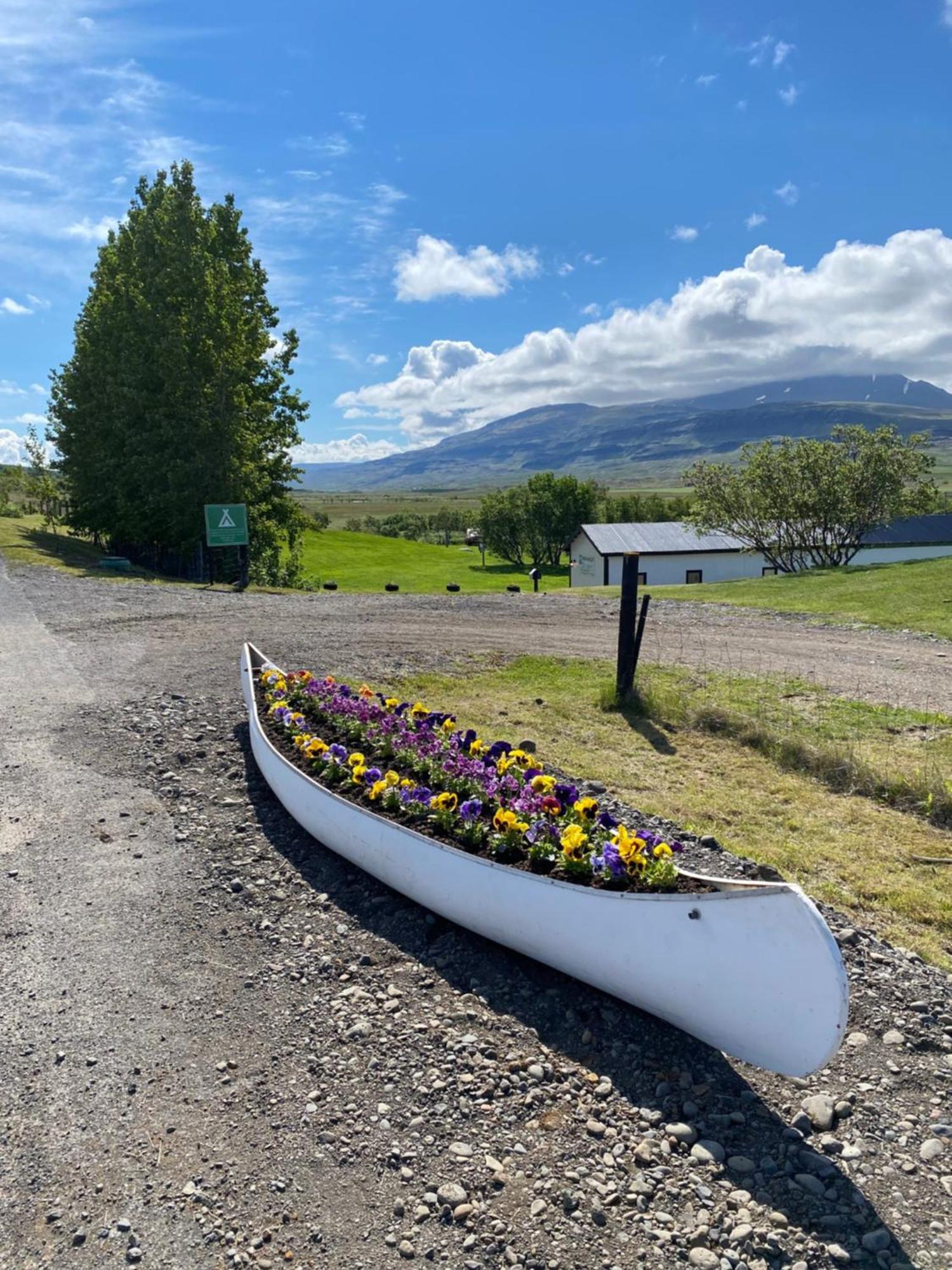 Bakkafloet Guesthouse Varmahlíð Exteriör bild